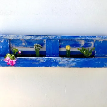 Gatu Lurberri Piscina Privada, 4 Dormitorios, 2 Baños, Parking , Jardín Y Barbacoa * Chiclana de la Frontera