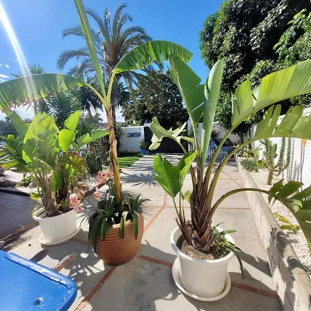 Gatu Lurberri Piscina Privada, 4 Dormitorios, 2 Baños, Parking , Jardín Y Barbacoa * Chiclana de la Frontera